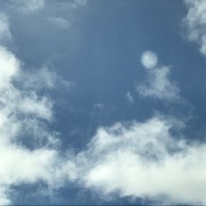 Meet your Posher, Ilona